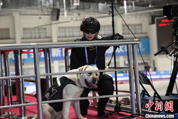 不只是萌而已,汪汪队为十四冬安保贡献移动安